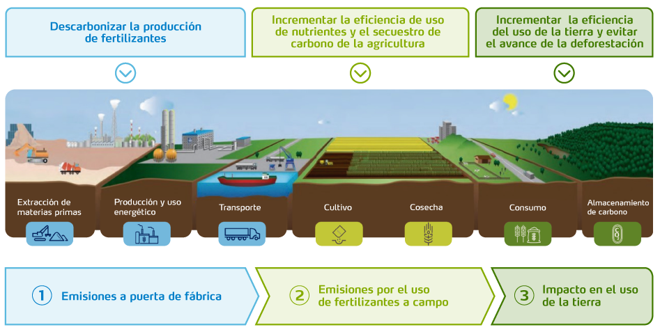Proceso de descarbonizacion de los cultivos