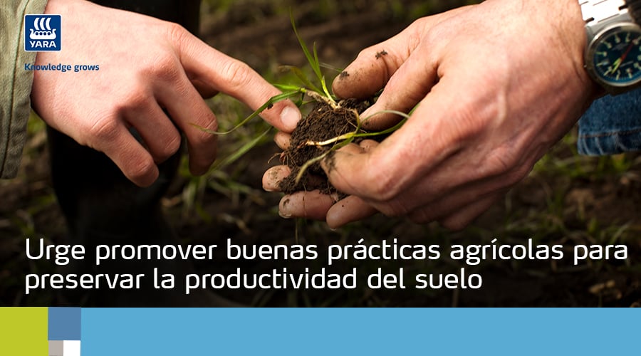 Portada-Newsletter