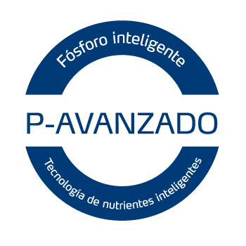 Sello de tecnologia fosforo inteligente de Yara