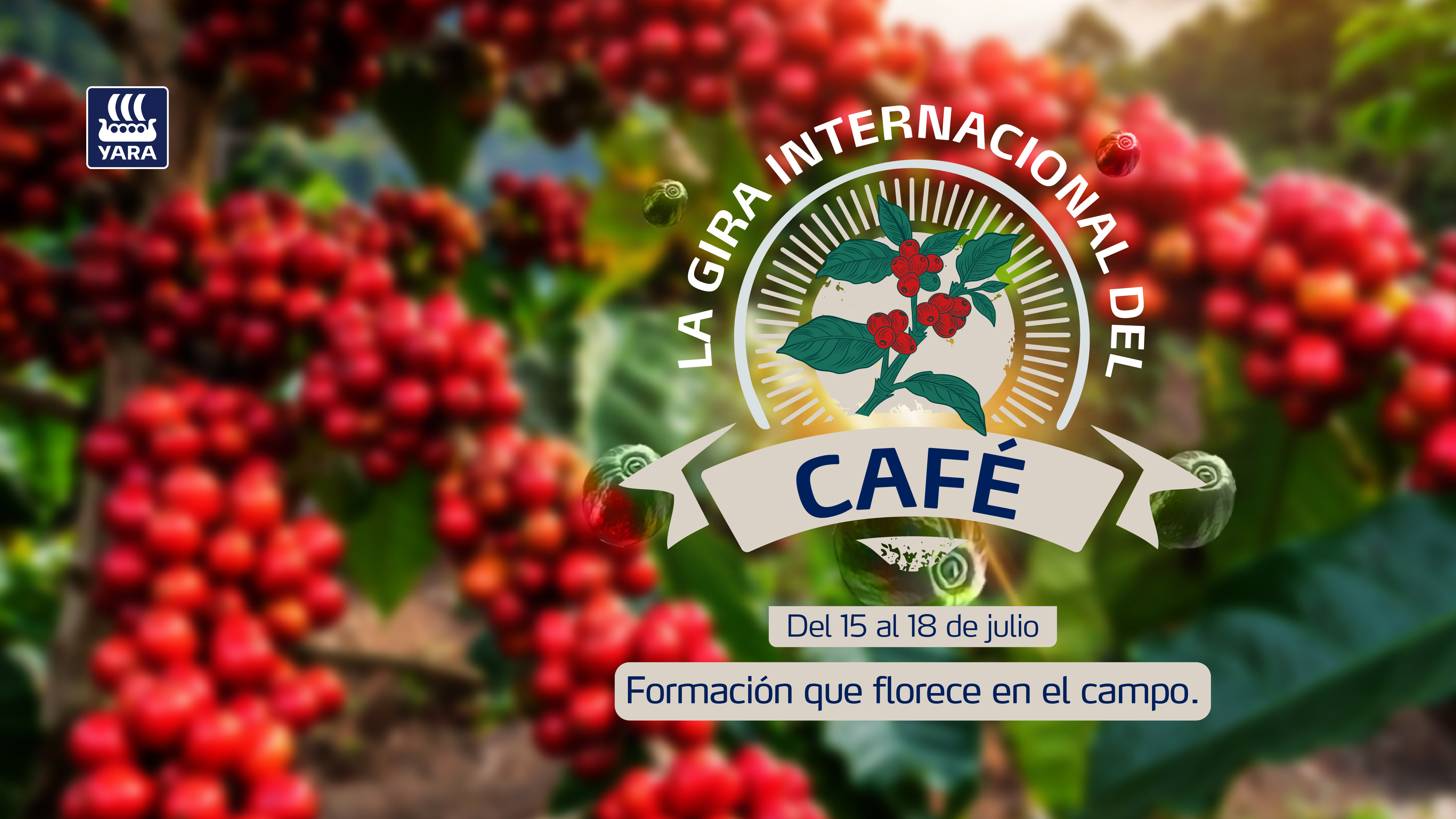 Gira Café PEru