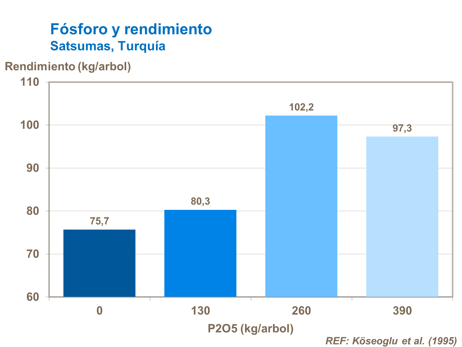 Fósforo y rendimiento